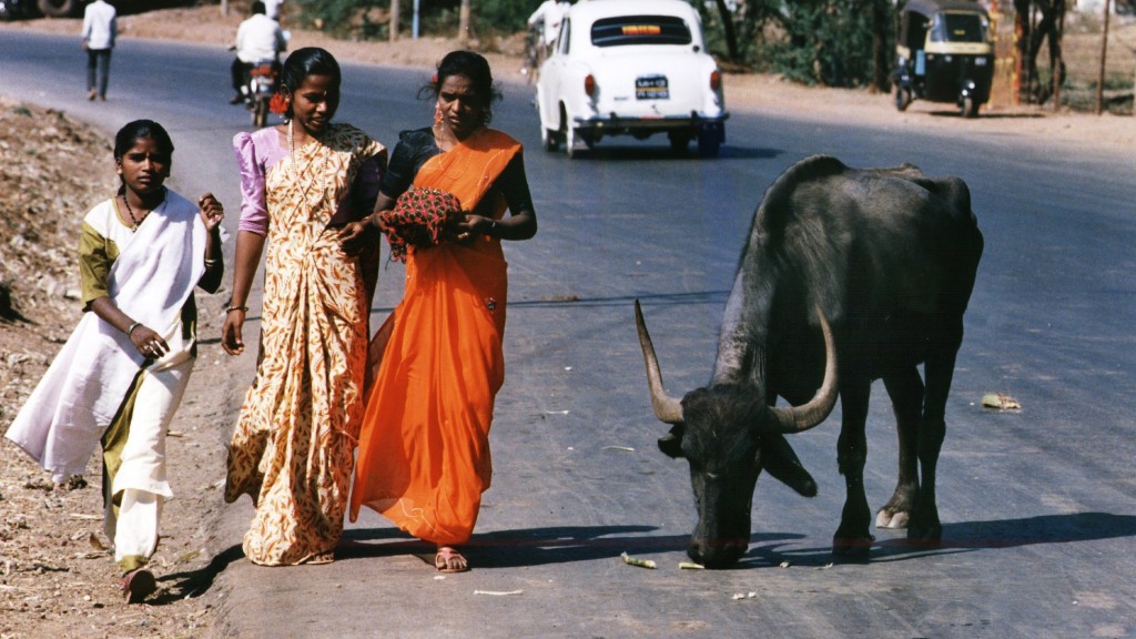 Straßenszene in Indien (Foto: dpa)