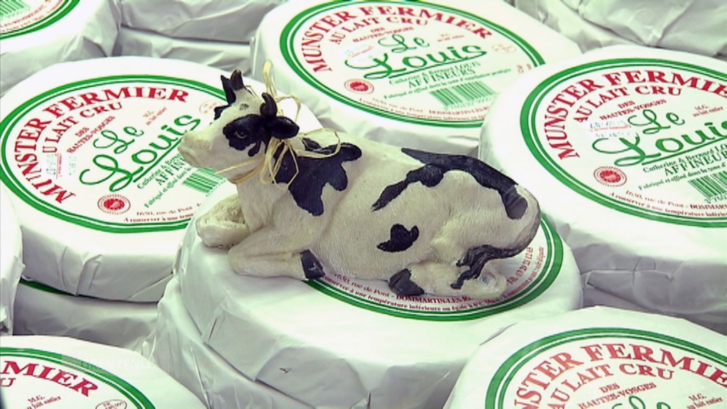 Foto: Käsesorten auf denen eine Plastik-Kuh liegt