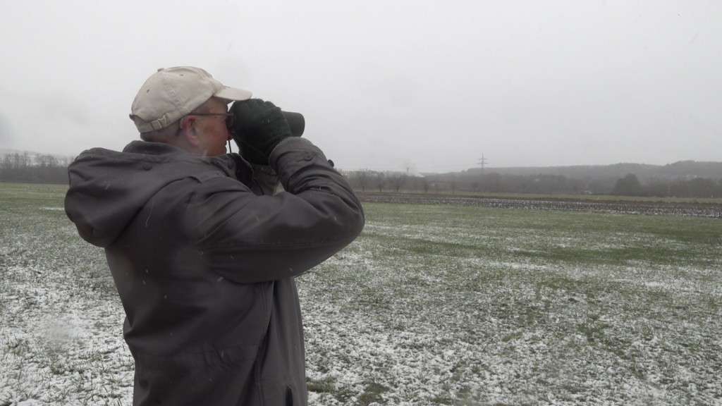 Foto: Ein Mann beobachtet mit einem Fernglas Vögel.