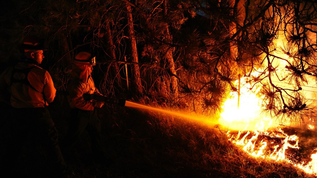 Feuerwehrmänner bekämpfen einen Waldbrand (Bild:  pixabay / skeeze)