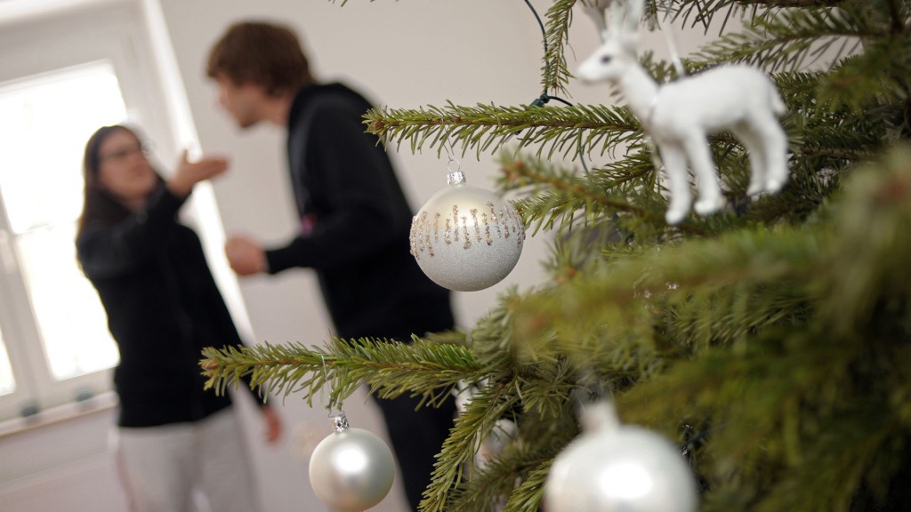 Symbolbild: ein Paar streitet unterm Weihnachtsbaum (Foto: picture alliance / dpa | Andreas Gebert)