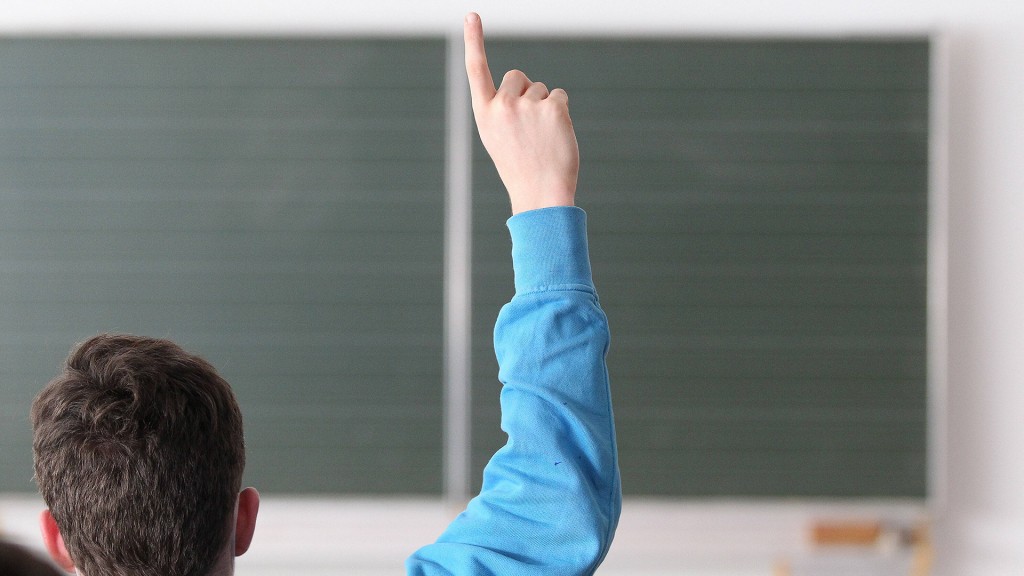 Ein Schüler meldet sich während des Unterrichts (Foto: IMAGO/Eibner)