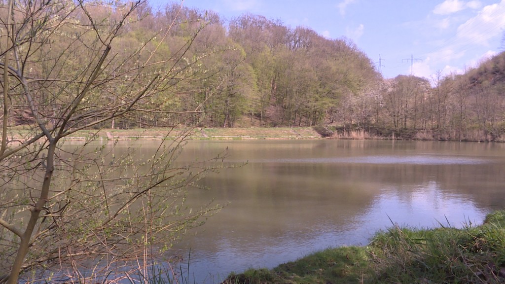 Foto: Weiher Hühnerfeld