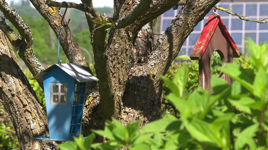 Foto: An einem Baum in ihrem Garten haben Anne und Josef schöne Vogelhäusschen angebracht.