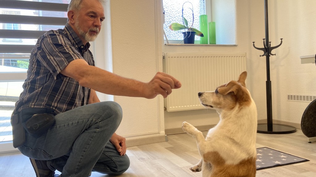Rüdiger Kramer und sein Hund Toby 