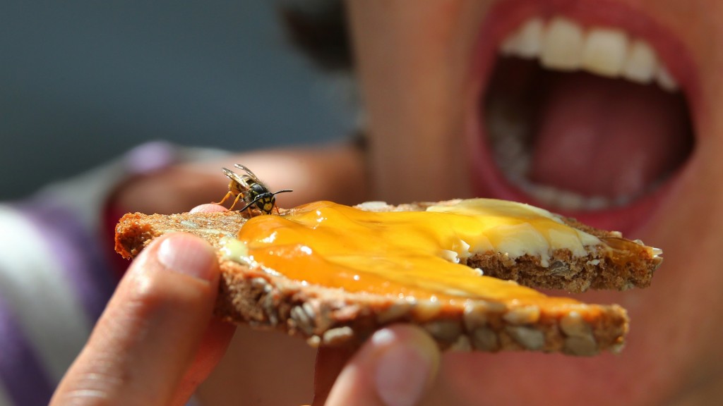 Foto: Eine Frau hält ein Marmeladenbrot, auf dem eine Wespe sitzt