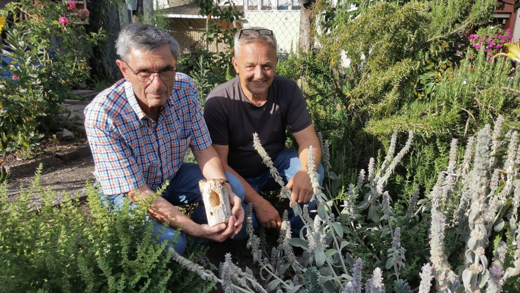 Die Holzbienen-Freunde Erwin Breit und Robert Herberger