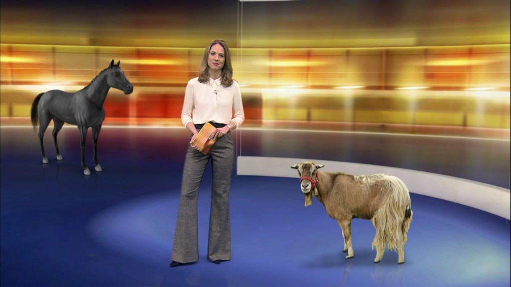Julia Lehmann im Studio
