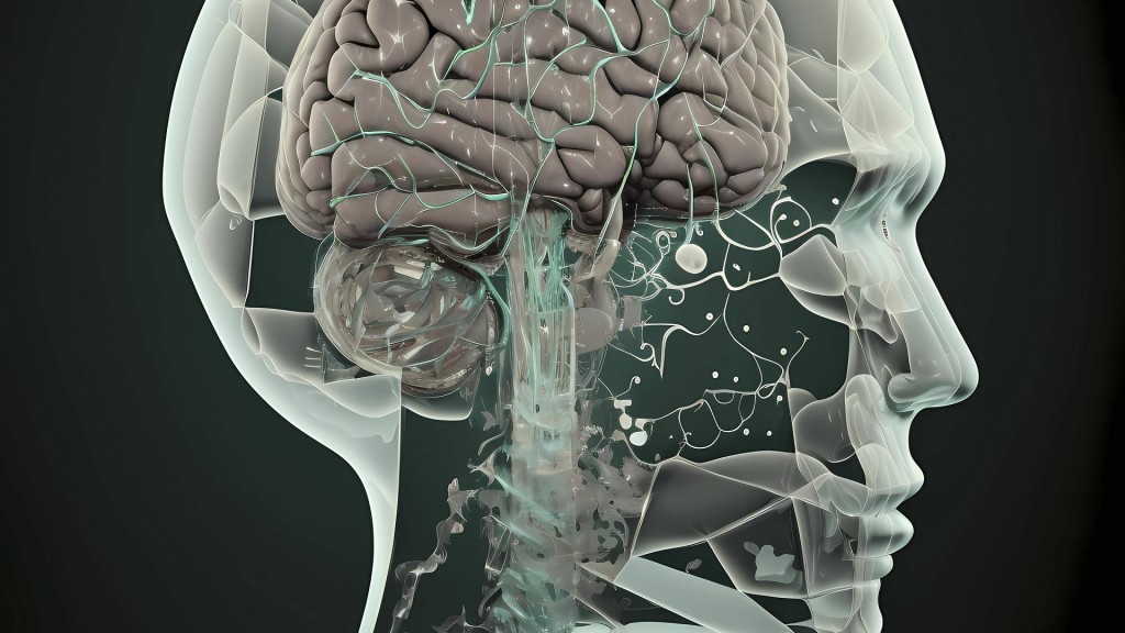 Foto: Bild eines menschlichen, transparenten Kopfes mit Gehirn und Demenz