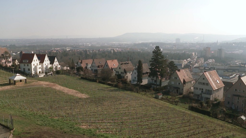 Foto: Häuser im Saarland