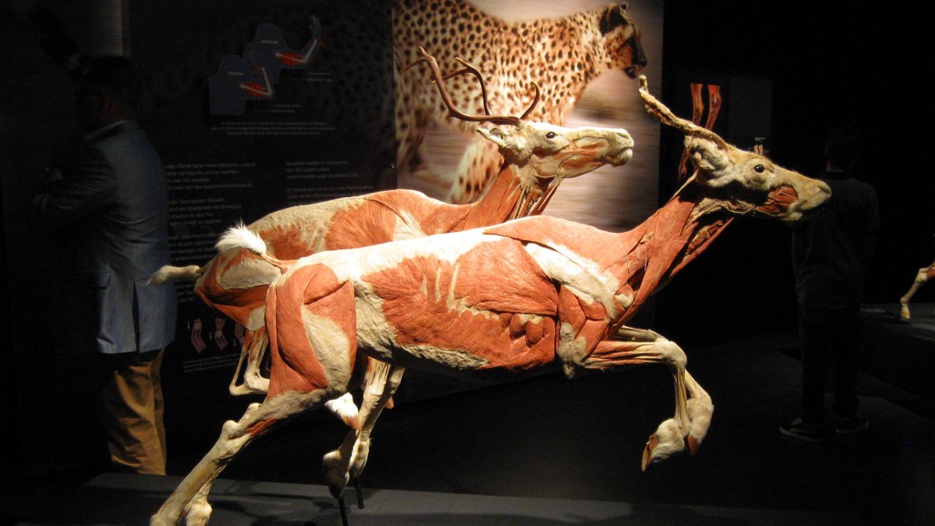 Modell aus der Ausstellung 