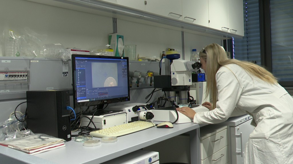 Wissenschaftlerin Anna-Lena Huber im Labor