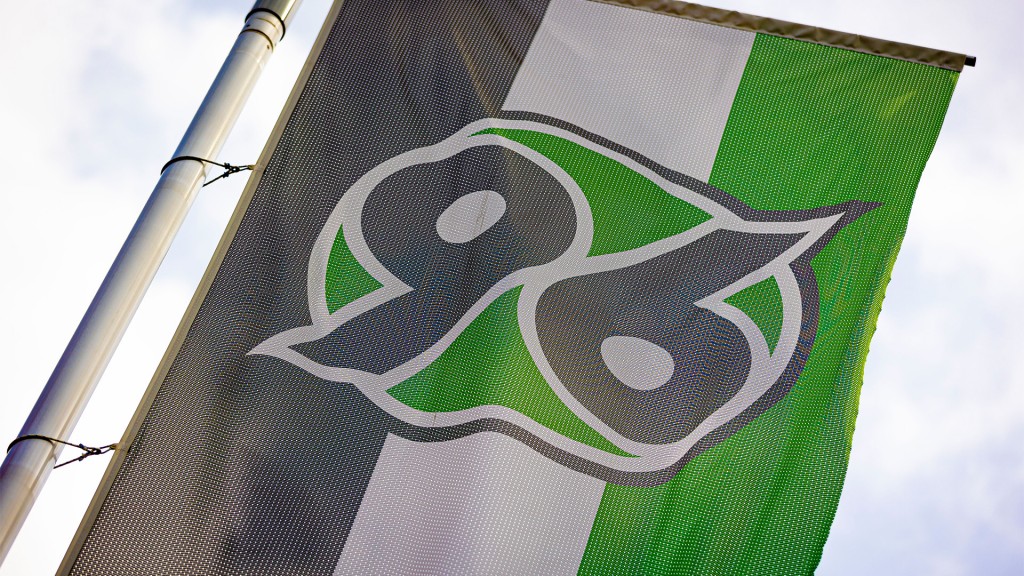 Eine Fahne mit dem Logo von Hannover 96 weht vor der Heinz von Heiden-Arena. 