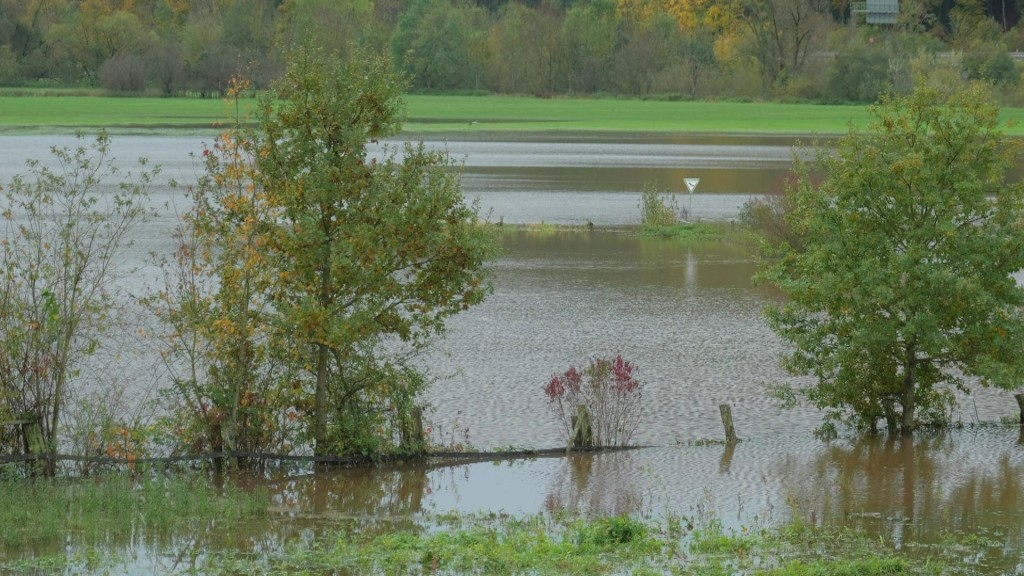 Foto: Überschwemmte Feldwege