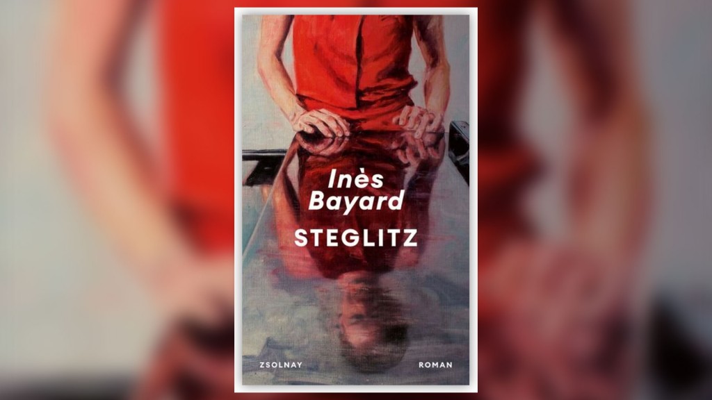 Buchcover: Steglitz von Inès Bayard