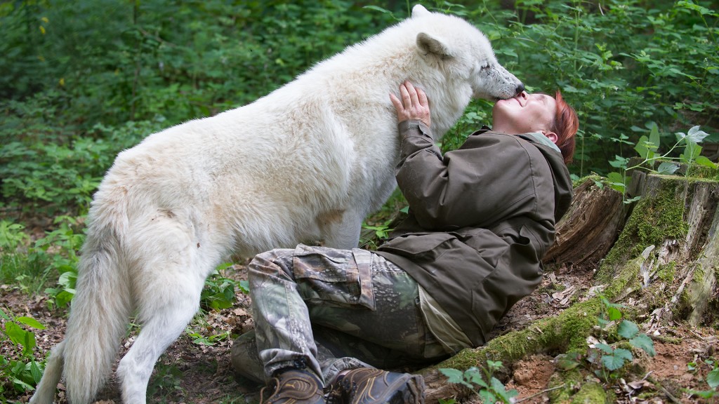 Foto: Tatjana Schneider beim Kuscheln mit einem Wolf