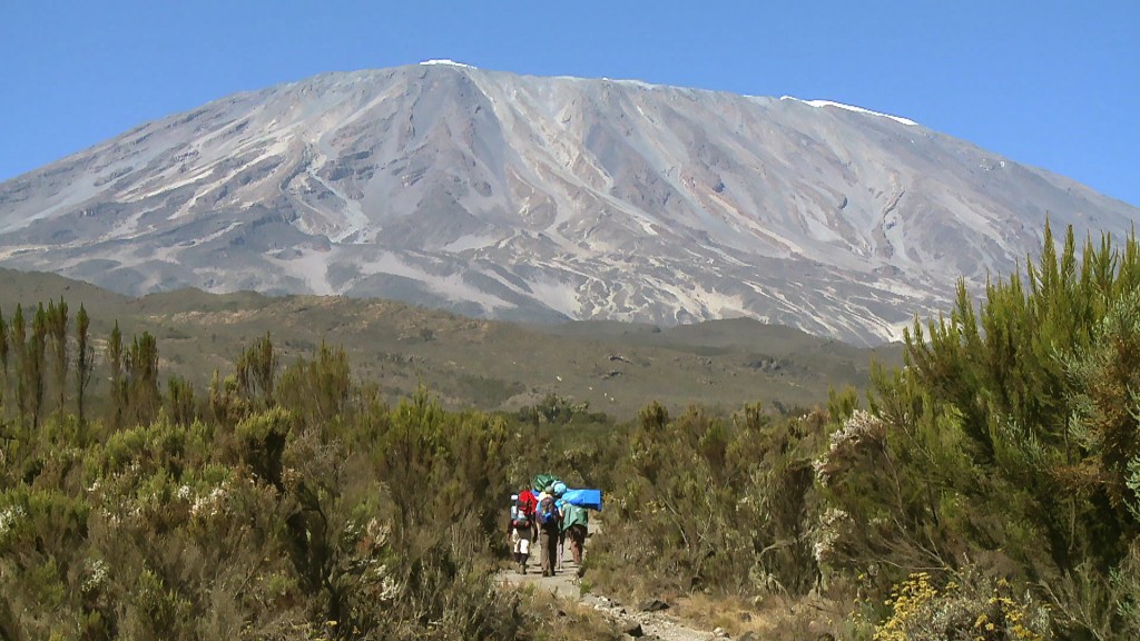 Foto: Eine Gruppe Touristen läuft auf den Kilimandscharo zu.