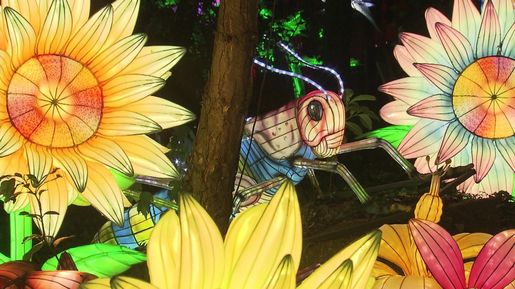 Foto: Leuchtende Grillen-Figur und Blumen