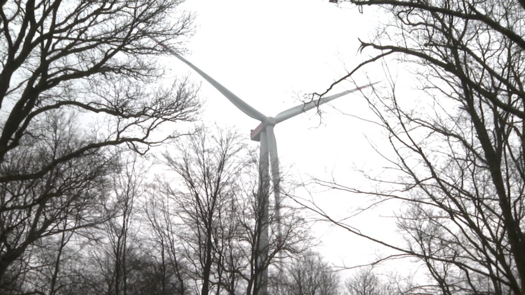 Foto: Ein Windrad steht in einem Waldgebiet