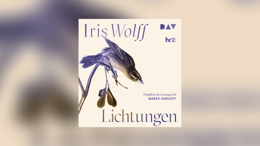 Cover: Iris Wolff - Lichtungen