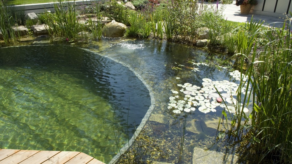 Ein Schwimmteich mit Regenerationsbereich