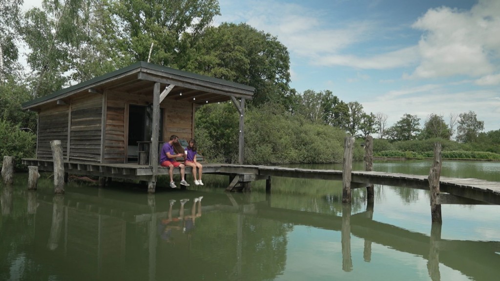 Foto: Ferien beim Nachbarn