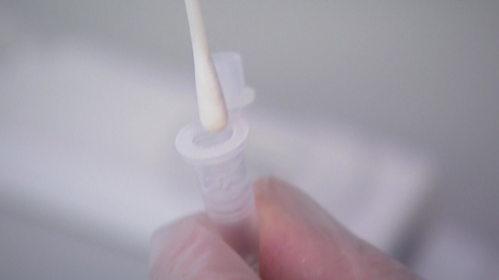 Foto: Ein Wattestäbchen wird für einen Coronatest in ein Röhrchen getunkt