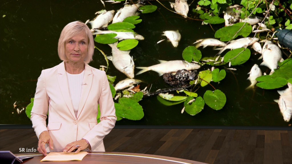 Foto: Verena Bisle im Studio