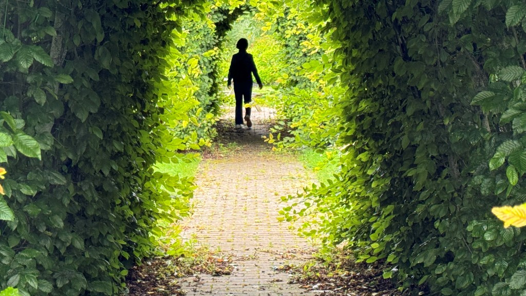 Eine Person zwischen einem Blätterbogen