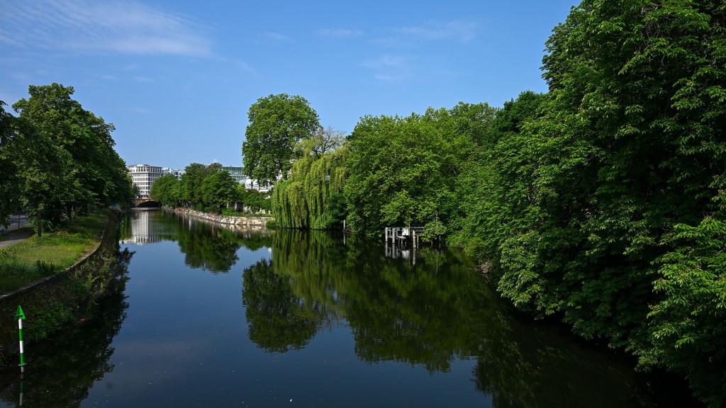 Foto: Dicht bewachsenes Flussufer