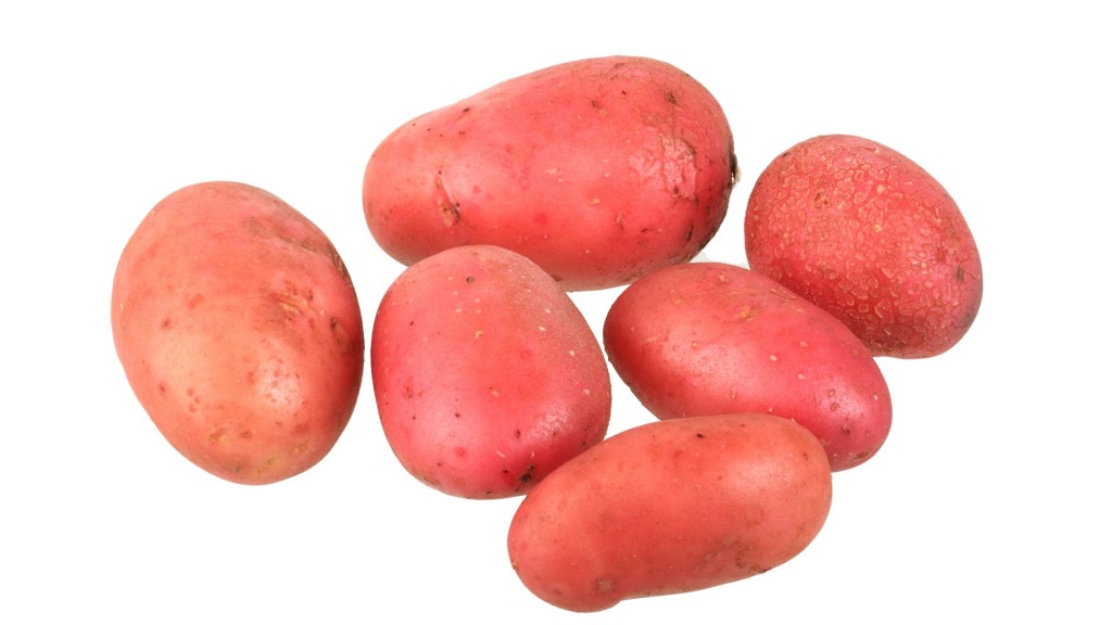 Kartoffeln der Sorte 