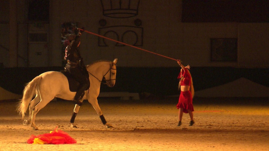 Foto: Pferd bei einer Bühnenshow