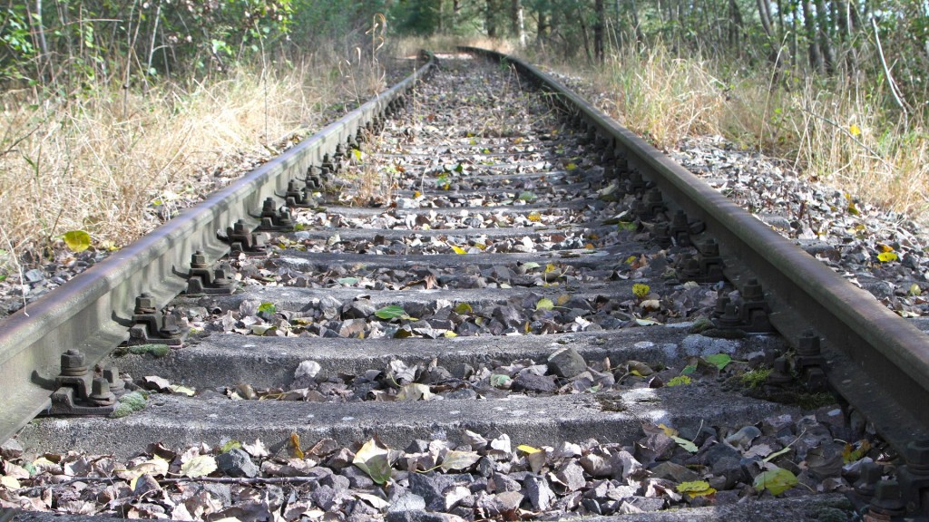 Foto: Gras und Unkraut wuchert an den Gleisen einer stillgelegten Bahnstrecke