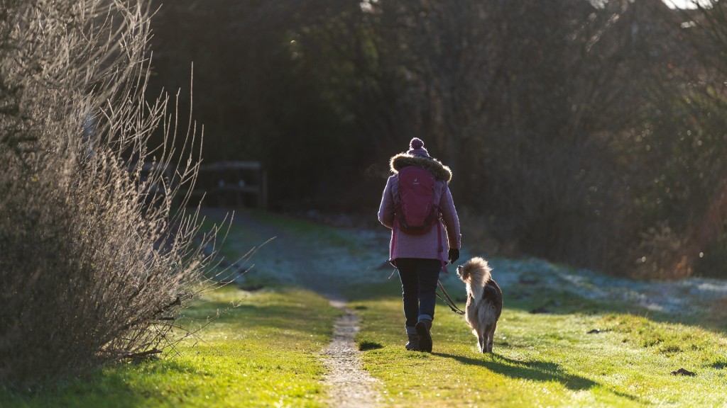 Eine Frau geht mit ihrem Hund an einem kalten Wintermorgen spazieren.