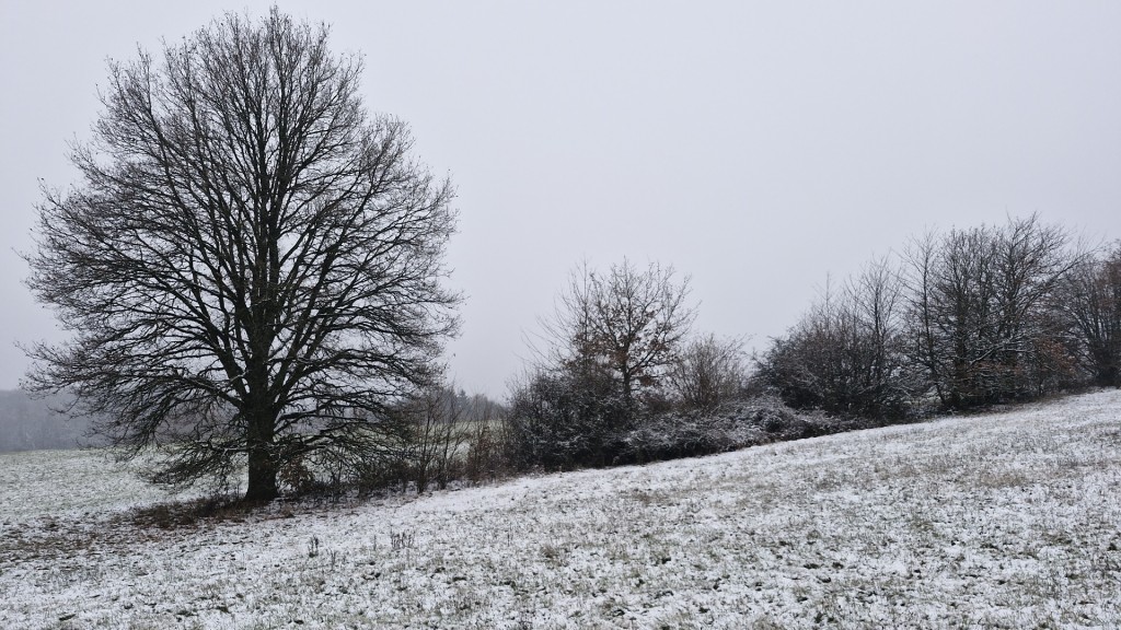 Erster Schnee im Saarland 