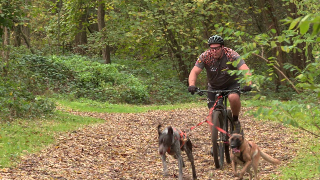 Foto: Mountenbiker mit Hunden