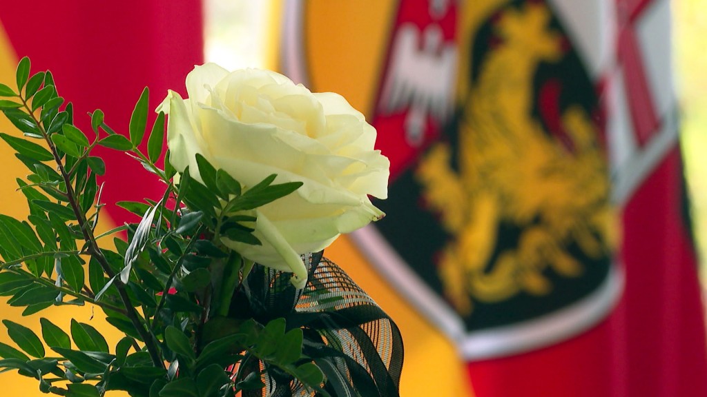 Foto: Eine weiße Rose steht vor der saarländischen Landesflagge