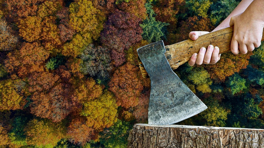 Foto: Baumstamm mit Axt im Wald