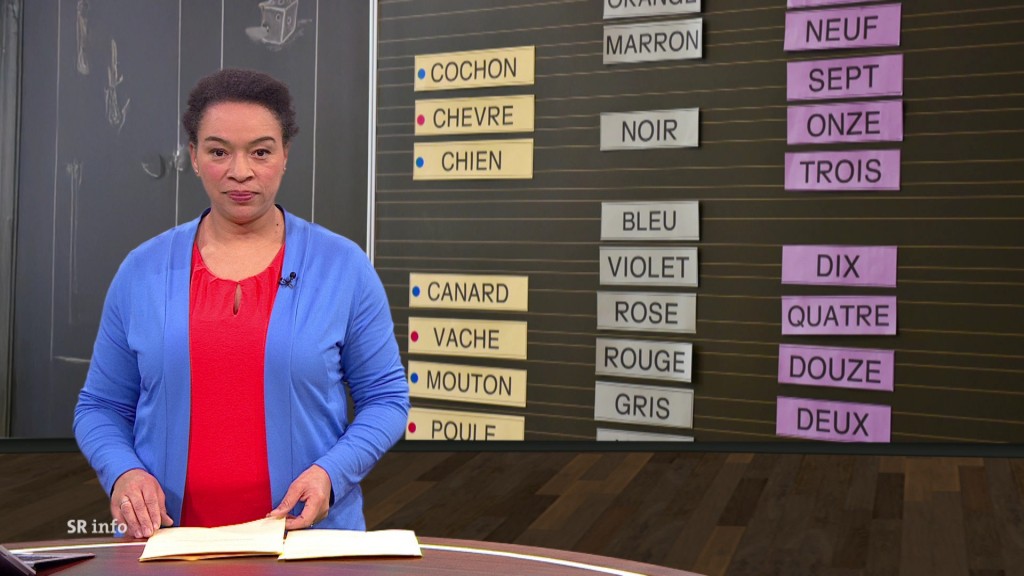 Foto: Sarah Sassou im Studio