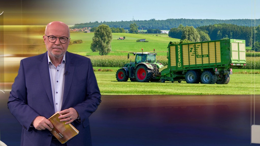 Foto: Roman Bonnaire im Studio