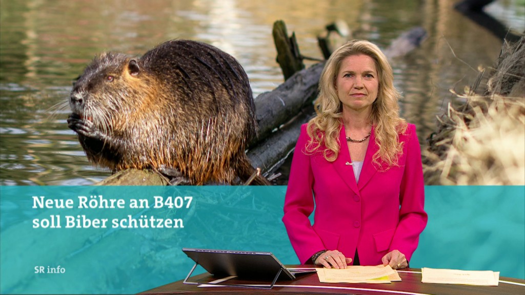 Anja Fröhlich im Studio