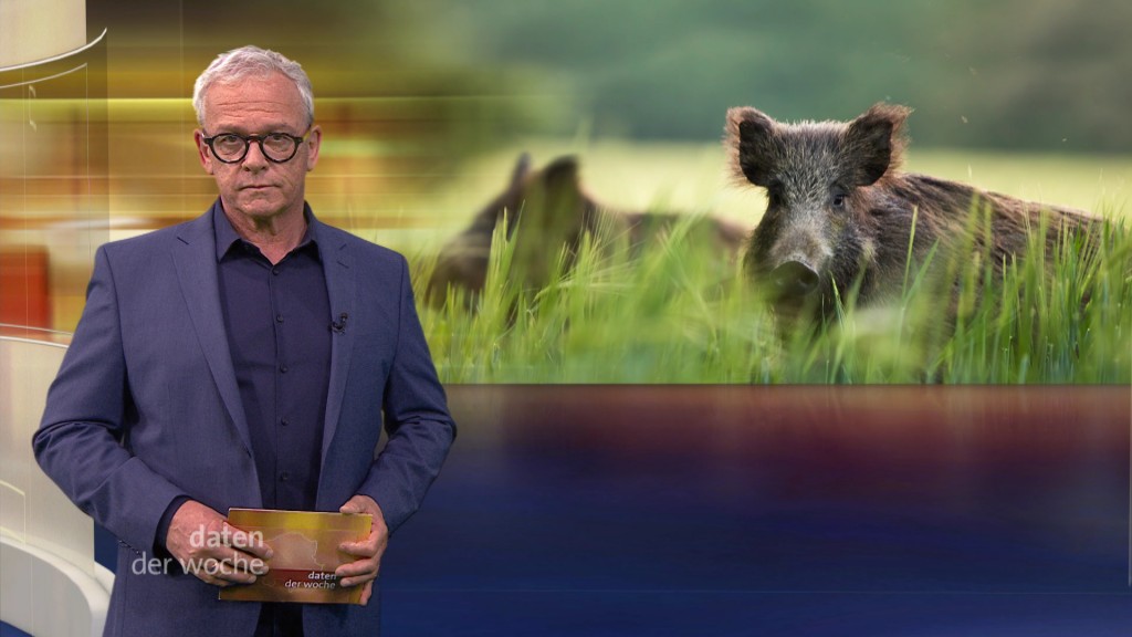 Foto: Joachim Weyand im Studio