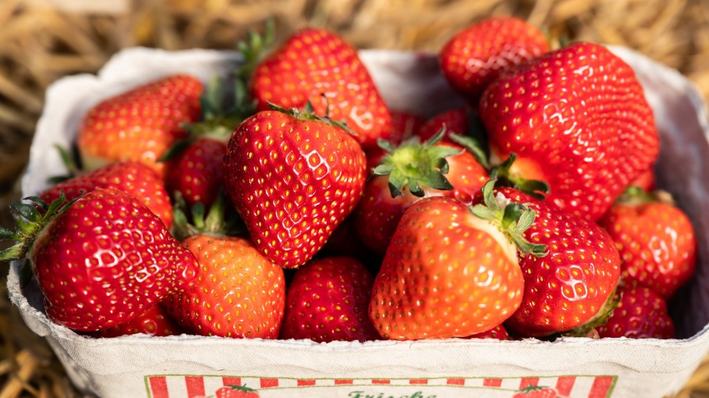 Gepflückte Erdbeeren in einer Schale