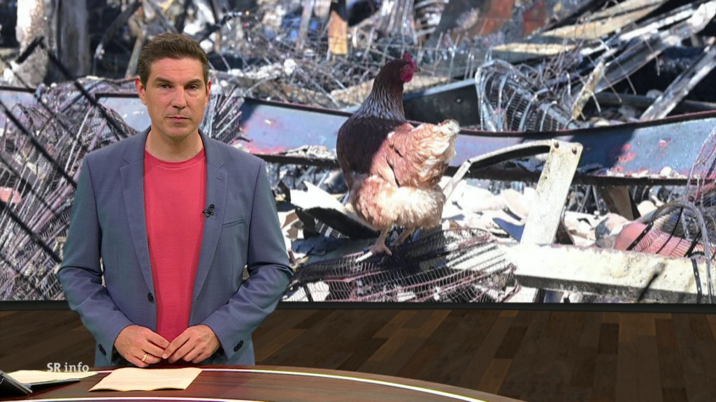 Foto: Florian Possinger im Studio