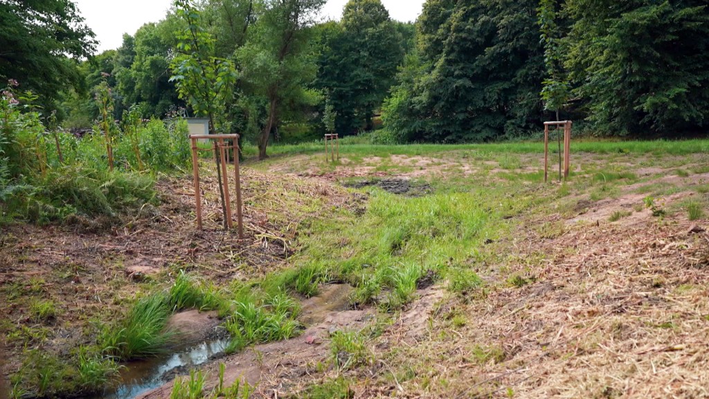 Foto: Renaturierung des Mühlenbachs in Spiesen-Elversberg