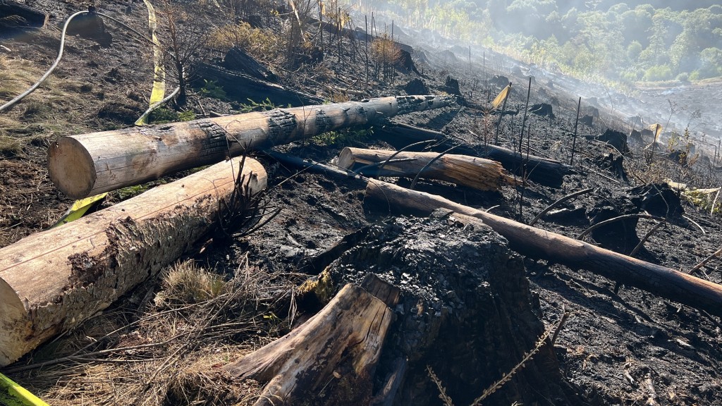 Waldstück bei Nonnweiler ist abgebrannt 