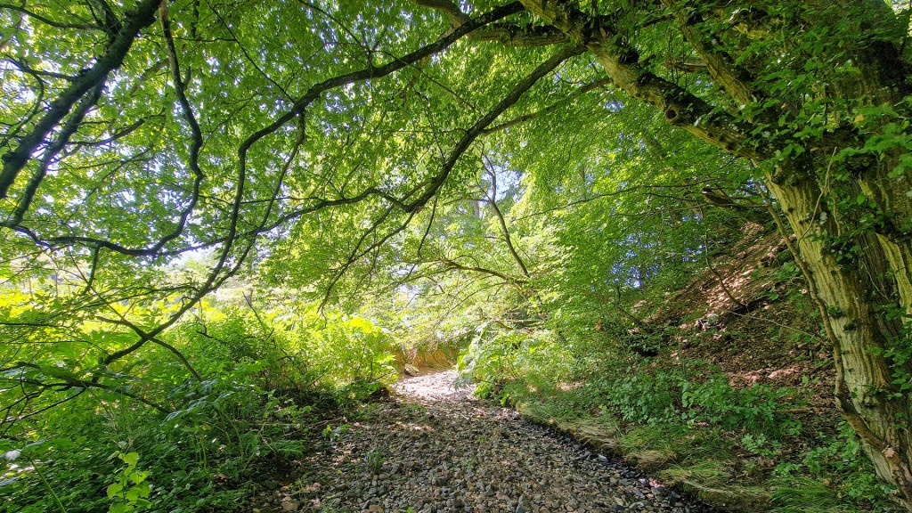 Foto: Bett des ausgetrockneten Steinbachs in höhe Thalexweiler