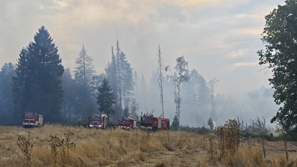 Foto: Löscharbeiten der Feuerwehr bei Waldbrand in Illingen