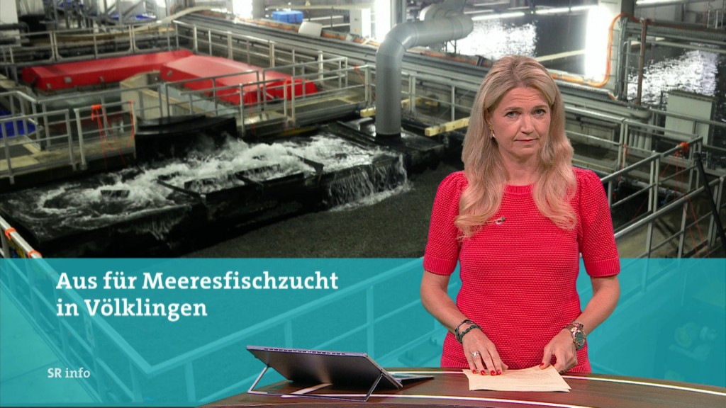 Foto: Anja Fröhlich im Studio