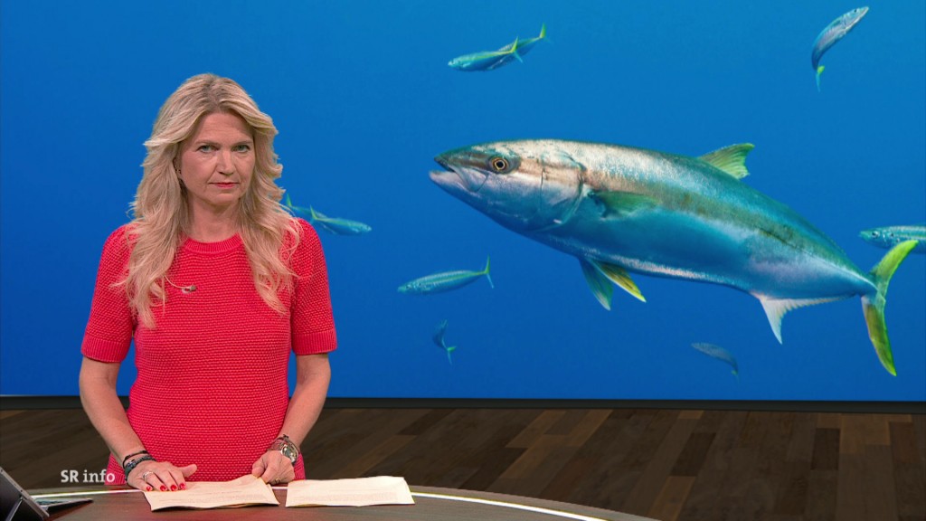 Foto: Anja Fröhlich im Studio
